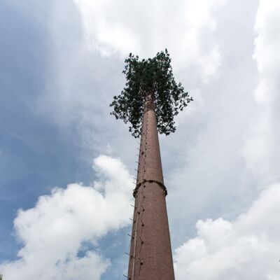 36M Bionic Tree Tower met duurzame kunstmatige stammen uit glasvezel takken en bladeren met verborgen platforms voor 5G-antennen en omgevingssensoren