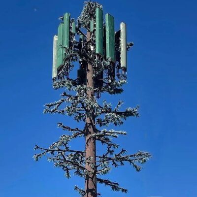 Bionic Tree Tower modulair ontwerp met aanpasbare boomsoorten en hoogte, ondersteuning voor antennemontages, kabelbeheer en oogstsystemen voor hernieuwbare energie