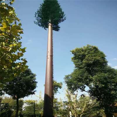 Bionische boomtoren met geïntegreerd kabelbeheer en verborgen platforms ter ondersteuning van telecommunicatie-microgolf- en milieubewakingsapparatuur