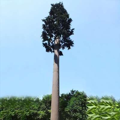 Bionic Tree Tower modulaire constructie aanpasbare hoogte en soorten die overeenkomen met de lokale flora voor esthetische infrastructuur