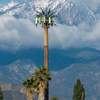 Bionic Tree Tower aanpasbare modulaire componenten voor hoogte en boomsoorten om aan verschillende landschapsvereisten te voldoen