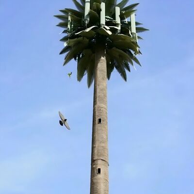 Bionische boomtoren kunstmatig met ANSI TIA 222 G H F en EN 1991 1 4 EN 1993 3 1 ontwerpcodes voor infrastructuur