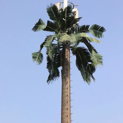 Op maat ontworpen bionische boomtoren gecamoufleerd voor stedelijk landschap in natuurgebied