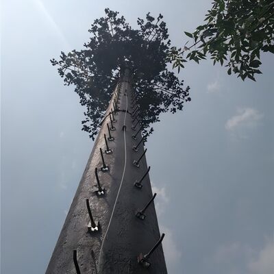 18 27 35 meter gecamoufleerde palmboom-telecommunicatietoren voor resorthotellandschap