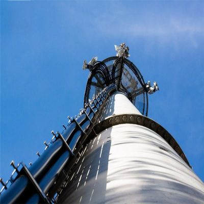 Vrijstaande monopolie toren 100 telecom toren antenne soorten communicatie buis