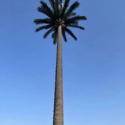 10 20 30 40 50 60 70 80 M Warm gedompeld gegalvaniseerd gecamoufleerde paal Palm / Pine Micro Fake Cell Tower Bomen 10 20 30 40 50 60 70 80 M
