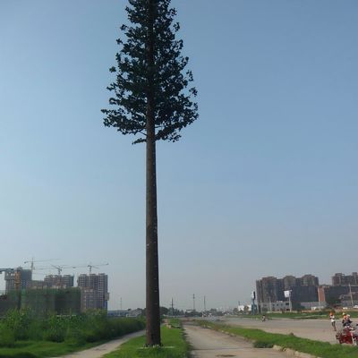 10 20 30 40 50 60 70 80 M Warm gedompeld gegalvaniseerd gecamoufleerde paal Palm / Pine Micro Fake Cell Tower Bomen 10 20 30 40 50 60 70 80 M