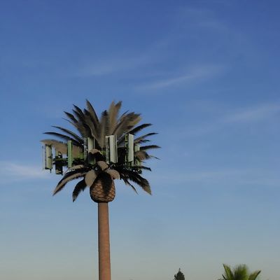 10 20 30 M Palmboom Valse boom Celtoren Gecamoufleerde Telecommunicatie 5-80M