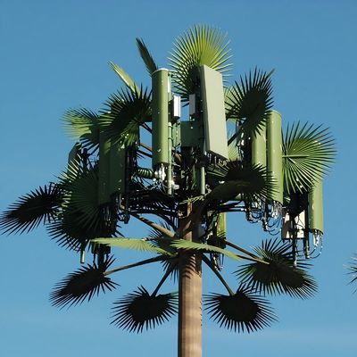 10 20 30 40 50 60 70 80 M Warm gedompeld gegalvaniseerd gecamoufleerde paal Palm / Pine Micro Fake Cell Tower Bomen 10 20 30 40 50 60 70 80 M