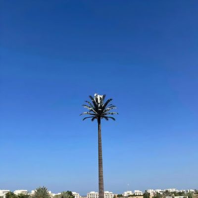 Bionische gecamoufleerde celtorens GSM-antenne Stalen monopool Telecomtoren Galvanisatie