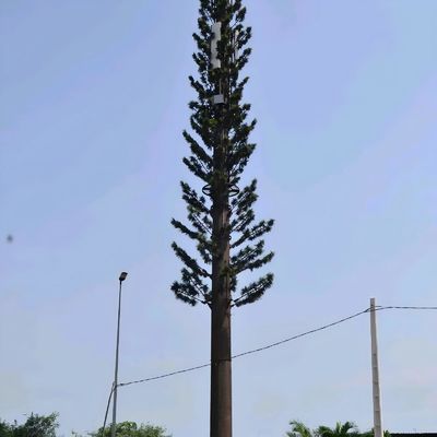 Bionische gecamoufleerde celtorens GSM-antenne Stalen monopool Telecomtoren Galvanisatie