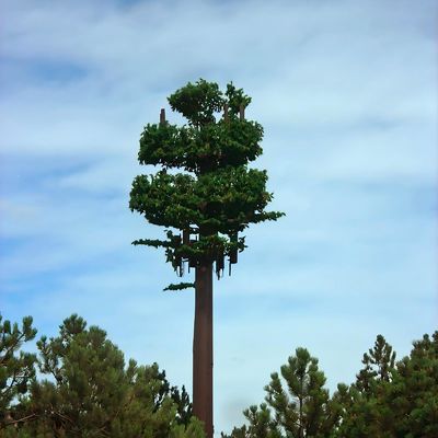 Gecamoufleerde paal Palm / Pine Micro Fake Cell Tower Bomen 10 20 30 40 50 60 70 80 M