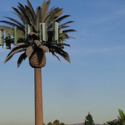 Gegalvaniseerde GSM Mobile Bionic Palm Tree Antenna Single Pole 5g Tower Camouflage
