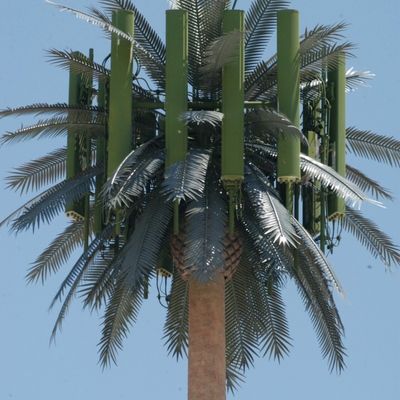 Gegalvaniseerde GSM Mobile Bionic Palm Tree Antenna Single Pole 5g Tower Camouflage