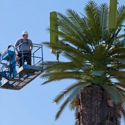 Gegalvaniseerde GSM Mobile Bionic Palm Tree Antenna Single Pole 5g Tower Camouflage
