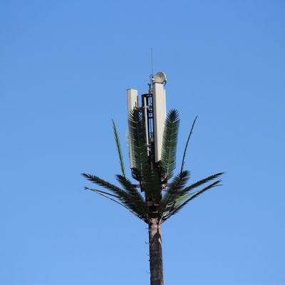 Aanpassing 20m-50m Communicatie Monopool Kunstmatige boom Cell Towers Telecom Palm Bionic Verkleed Boombal Toren