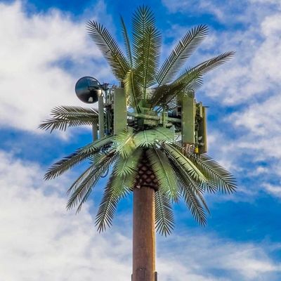 Aanpassing 20m-50m Communicatie Monopool Kunstmatige boom Cell Towers Telecom Palm Bionic Verkleed Boombal Toren
