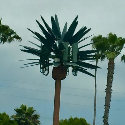 Gegalvaniseerde bionische telecommunicatie monopoletoren / kunstmatige boomceltorens