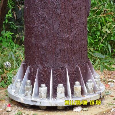 10 16 22M Woonwijk Bionische Boom Gecamoufleerd Gegalvaniseerd Staal Zelfdragende Outdoor 5G 4G Wifi Telecom Toren