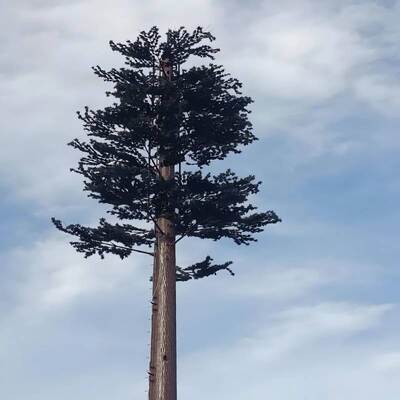 Bionic Tree Tower kunstmatige boomstructuur met modulair ontwerp voor telecommunicatie en integratie van omgevingssensoren