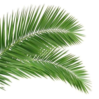 Bionische boomtoren met een boomachtig uiterlijk met glasvezeltakken en stammen voor naadloze combinatie van het landschap