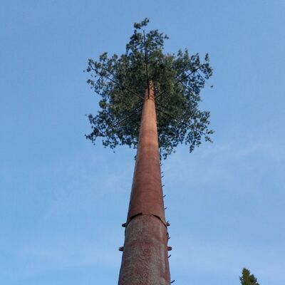 Bionic Tree Tower aanpasbare modulaire componenten voor hoogte en boomsoorten om aan verschillende landschapsvereisten te voldoen