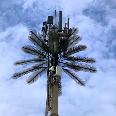 Bionische boomtoren kunstmatige structuur staalontwerp windsnelheid tot 250 km/u met opties voor zacht en hoogwaardig staal