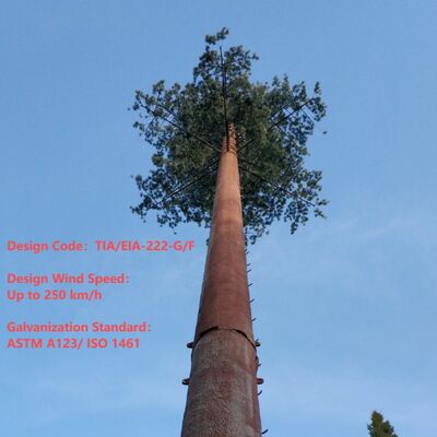 Bionische boomtoren kunstmatig met ANSI TIA 222 G H F en EN 1991 1 4 EN 1993 3 1 ontwerpcodes voor infrastructuur