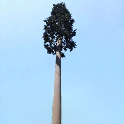 Bionic Tree Tower kunstmatige boomtoren slagvastheid KV 27 joule bij verschillende temperaturen voor structurele betrouwbaarheid
