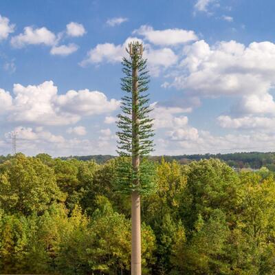 Bionic Tree Tower structure steel grades include ASTM A36 ASTM A572 Gr50 and EN10025 S235JR S355JR for versatile application needs