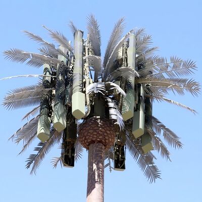 Op maat ontworpen bionische boomtoren gecamoufleerd voor stedelijk landschap in natuurgebied