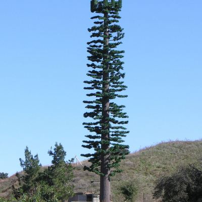 22 28 36 meter thermisch verzinkte bionische boomtelecommunicatietoren gecamoufleerd voor toeristisch toneelgebied