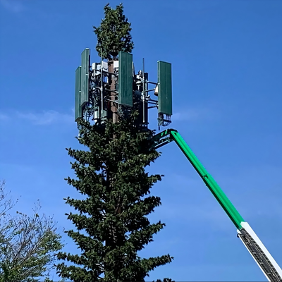 Milieuvriendelijke gecamoufleerde bionische pijnboomtoren voor 5G draadloos netwerk Esthetische integratie Bionische palmboom Communicatiemastfabriek