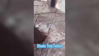 Bionische boom