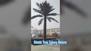 Bionische boom